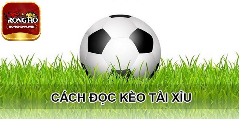 Cách tính lợi nhuận khi chơi kèo tài xỉu là gì?