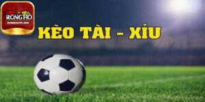 Cách đọc kèo tài xỉu là gì?