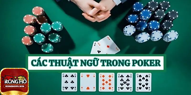Các thuật ngữ nói về giải đấu trong bài Poker Rongho99