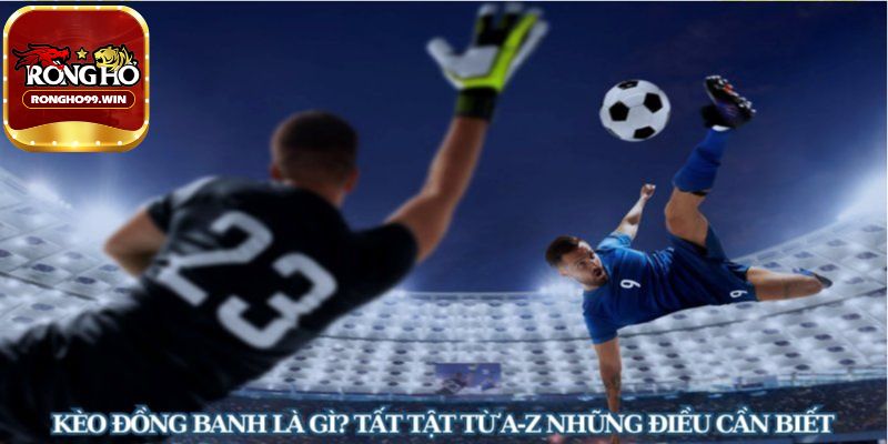 Tổng hợp chiến thuật chơi kèo đồng banh hiệu quả cho người mới